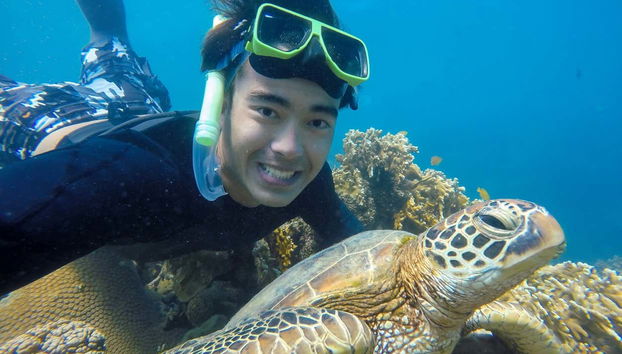 Admiring the underwater wildlife