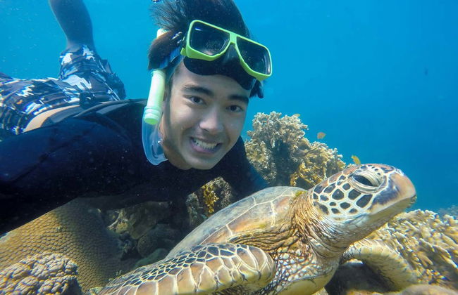 Excursión a la isla Whitsunday y Hook Island con snorkel - Foto 1