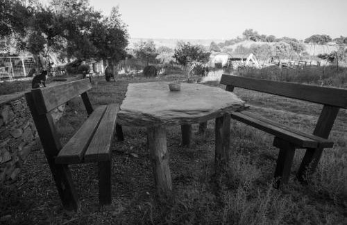 Herdade da Yucca - Retreat & Spa - Photo 66
