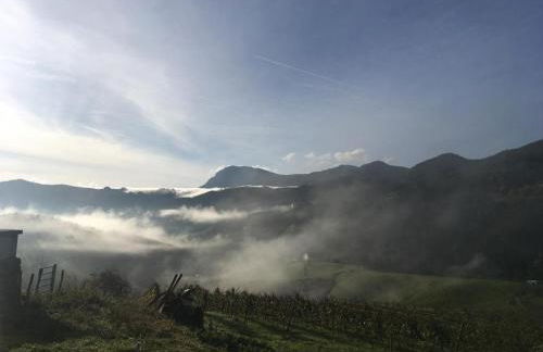 Agroturismo Erlete Goikoa -ESTAMOS EN EL CAMINO DE SANTIAGO -WE ARE ON THE CAMINO DE SANTIAGO- SENDERISMO-RUTAS Y BICICLETA - Photo 50