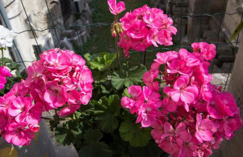 Apartment Sabioncello - Photo 32