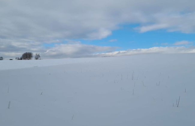 Holiday Home in Willersdorf With Outdoor Sauna - Photo 35