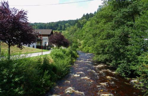 Ferienwohnungen in Schönmünzach - Photo 16