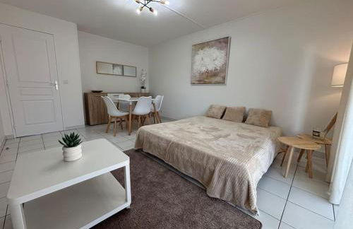 T2 lumineux 4 pers, pisc,plag 2min, park priv,wifi - Foto 6