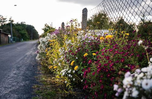 Radawnica pl - Tu odpoczniesz! - Foto 52