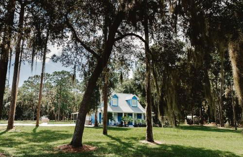 Madre Tierra - Photo 9