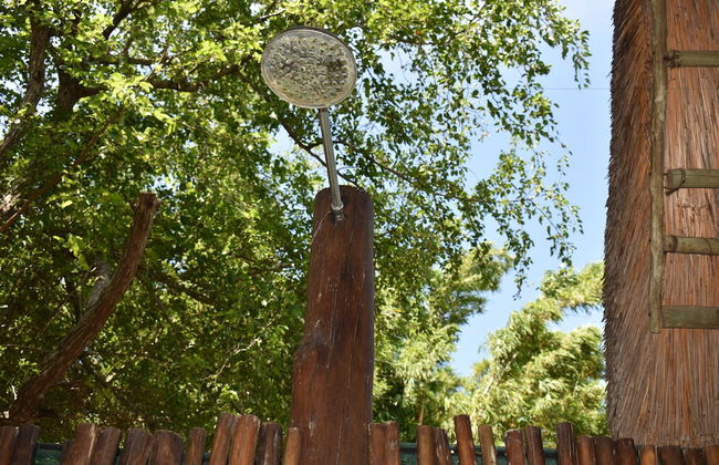 Amorello Safari Park - Photo 38