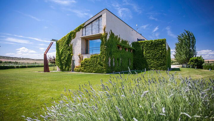 Oleotourism in Navarre. Visit and tasting of organic EVOO Artajo - Photo 1