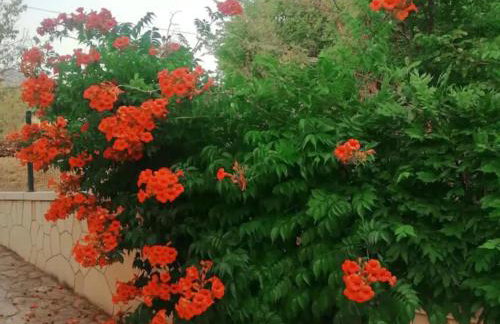 Three Bedroom Villa With Private Pool - Foto 32