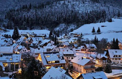 Ferienwohnung Tannenballett mit Panorama über den Schwarzwald in Baiersbronn - Foto 35