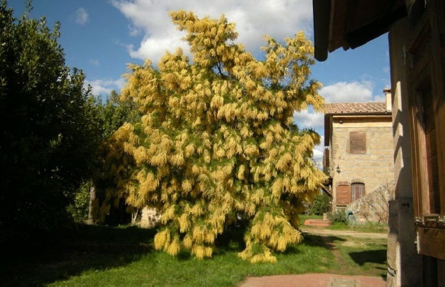 Agriturismo Solidor - Foto 34