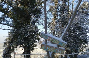 Ferienwohnung "Spatzennest" - Foto 4