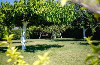 Gravaris House - Foto 56