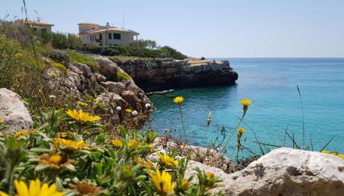 Cala Morlanda - Foto 5