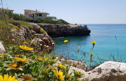 Cala Morlanda - Foto 5