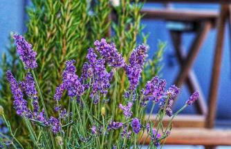 Casa do Ferreiro by Valada Village - Foto 27