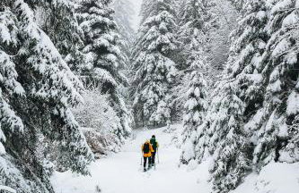 La casa di Alba-Salomé - Foto 41