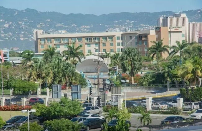 New Kingston Guest Apartment III - Foto 19