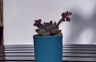 Sunset Beach House Possidi - Foto 29