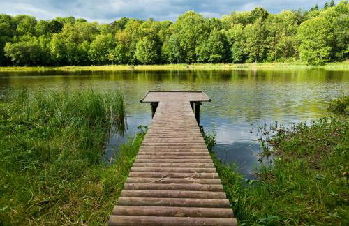 Ferienhaus am Sauerbrunnen - Foto 27