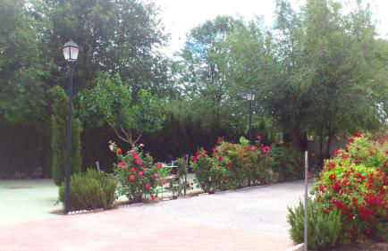 Casas Rurales Huerto Del Abuelito - Foto 25