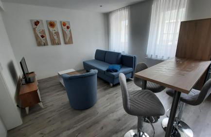 Fewo Böhle in Hainichen - Foto 9