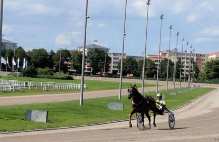 Helles Apartment in Berlin-Mariendorf - Foto 13