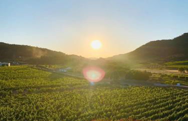 Quinta do Palame - Foto 19