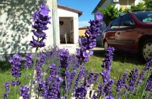 House Meli - Photo 3