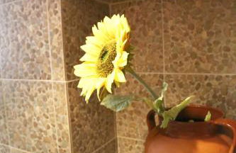 Casa da Avó - Foto 40