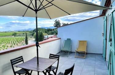 Maison au coeur des vignes - Foto 1