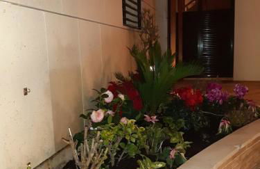 Apartamento Berenguela - Foto 20