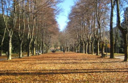 Casa Rural Mollo, Vall de Camprodon - Foto 79
