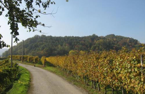 Agriturismo Cascina Serra - Foto 18