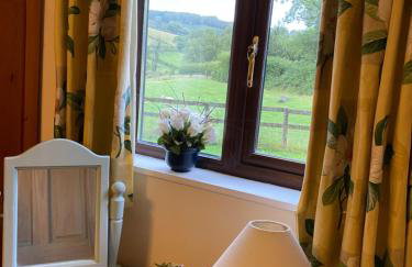 Riscombe Farm Cottages - Foto 24