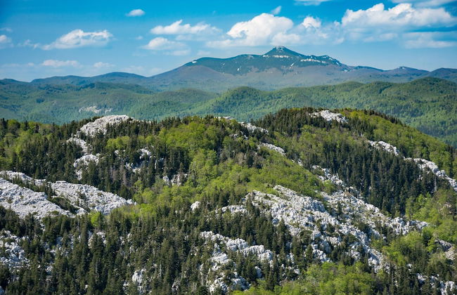 Cozy Home With Private Garden - Foto 19