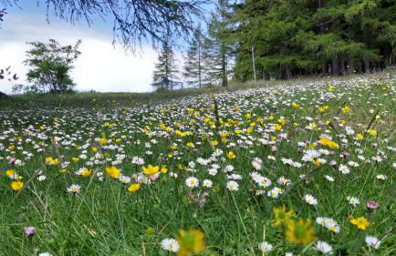 Casa ai piedi del monte Camicia - Photo 24