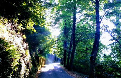 Casolare Puccini - Foto 13