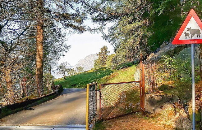 13 Person Holiday Home in Songesand - Photo 36