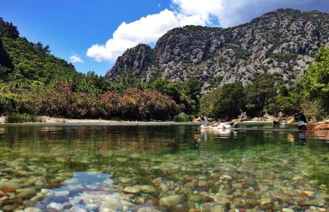 Kadir's Tree Houses - Photo 30