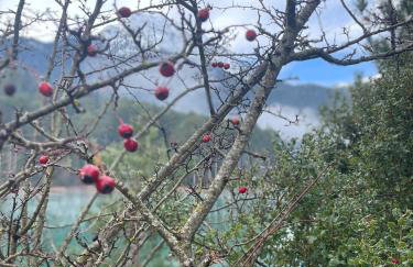 The Lake house Feneos - Foto 52