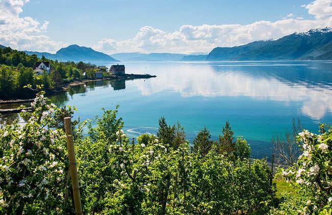 Tour guidato - Hardangerfjord, Gondola Voss e 3 Grandi Cascate - Foto 2