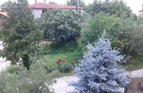 Guesthouse Adonis - Foto 80