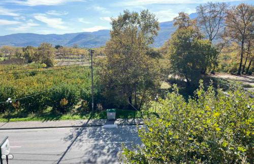 Drosia Hotel - Photo 48