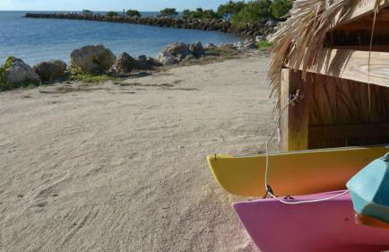 305 Kawama Tower - Foto 24