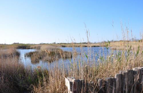 Masseria Le Terrazze di Serranova - Foto 49