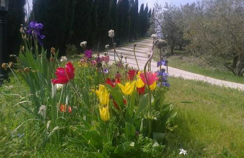 Residence Ai Campi Da Golf Saturnia - Foto 46