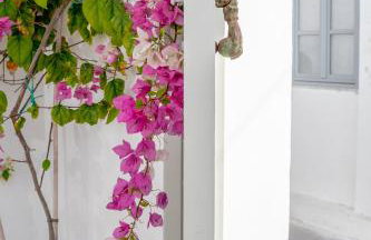 Kampanario Luxury Two-Bedroom Villa with Private Jacuzzi - Foto 116