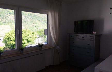 Ferienwohnung Weinberg mit tollem Moselblick - Foto 8