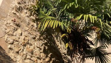 Le loft de la Roque - Foto 2, Garden view